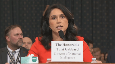 Southeast states target of foreign adversaries: Tulsi Gabbard