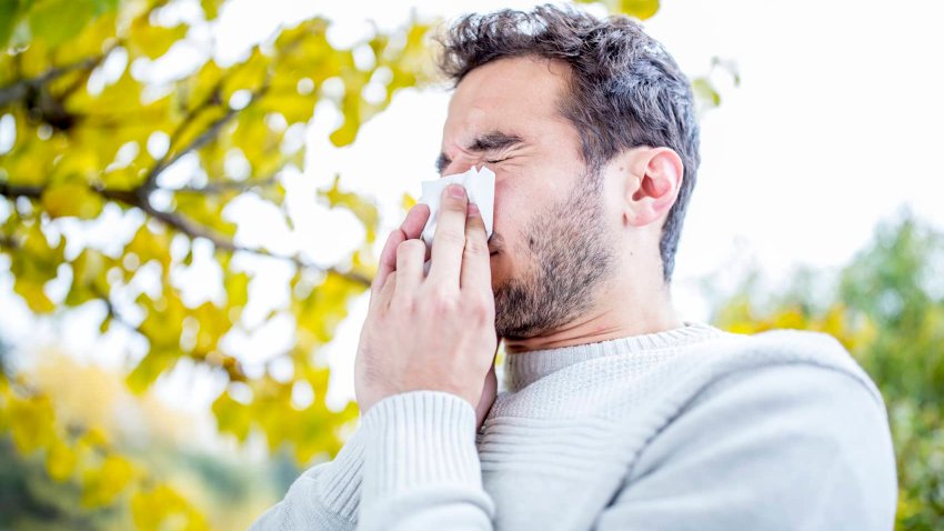 [CNBC] Here’s why your seasonal allergies are worse than last year—and how to get some relief