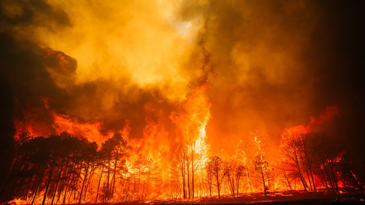 Second Teen Charged with Arson in 15,300-Acre New Jersey Wildfire