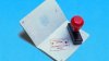 What to do if you're a US citizen and immigration authorities tell you to leave the country