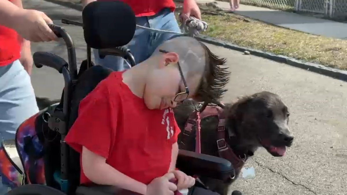NJ boy who is nonverbal shares special bond with his rescue dog – NBC10 ...