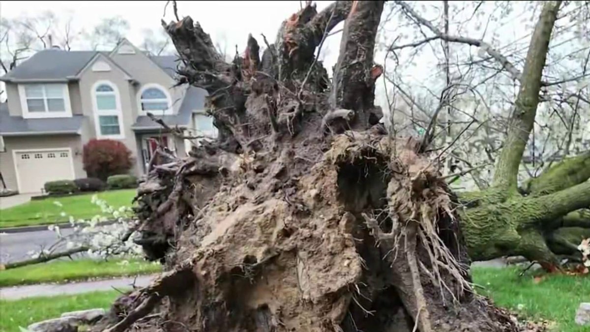 Cleanup underway after storms sweep through South Jersey – NBC10 ...