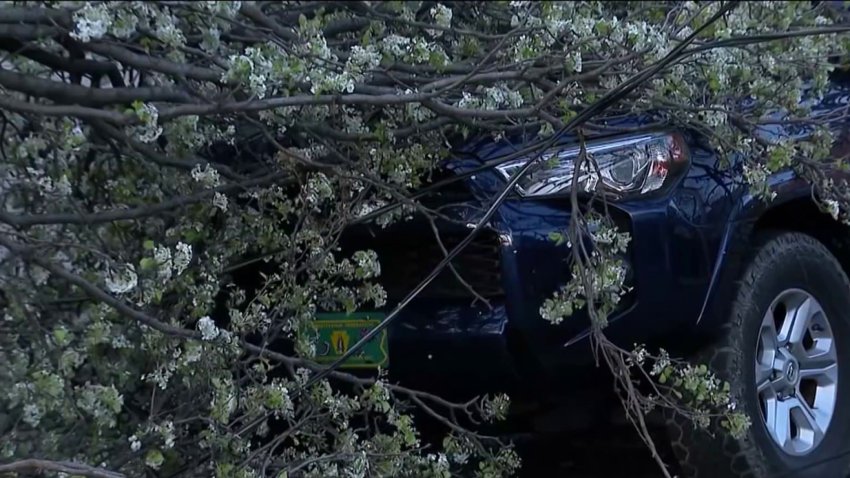 Strong winds on Tuesday led to fallen trees, power outages