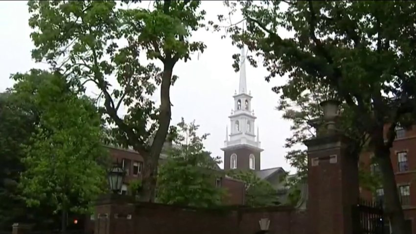 A shot of Harvard University's campus, with leafy trees framing a shot of the architecture.