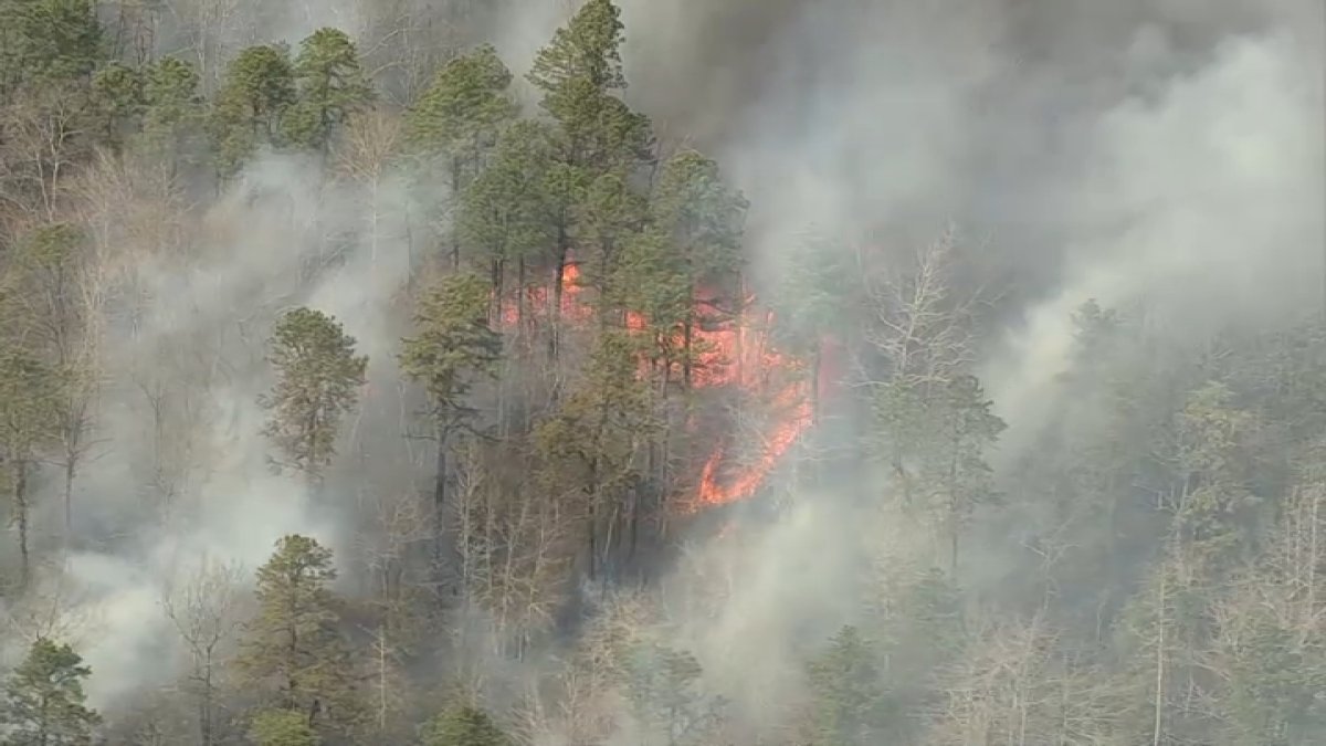 20-Acre Wildfire Burns in Vineland, New Jersey