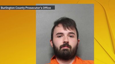 Burlington County man faces child porn, sex abuse of dogs charges ...