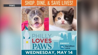You can show how much ‘Philly Loves PAWS' by shopping, dining across city
