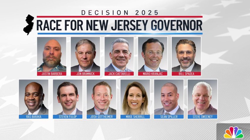 A look at the candidates for governor in the upcoming New Jersey primary elections.