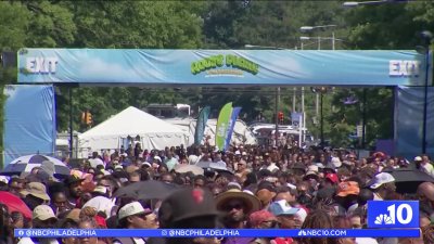 Questlove talks Roots Picnic 2025