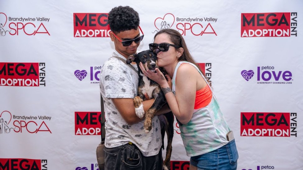 Spca Rescue BVSPCA’s Mega Adoption Event aims to find forever homes for pets ...