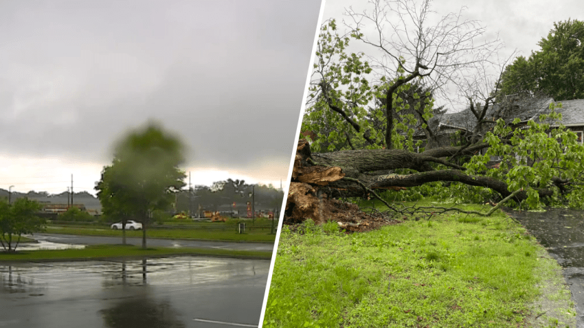 Clouds and downed tree in split image.