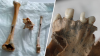 Skeletal remains found at Jersey Shore identified as 19th century boat captain