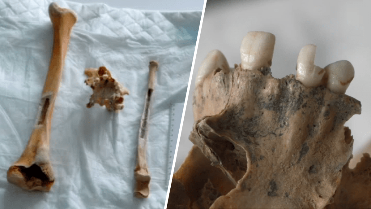 Jersey Shore Remains Identified as 19th-Century Captain Using Genetic Genealogy