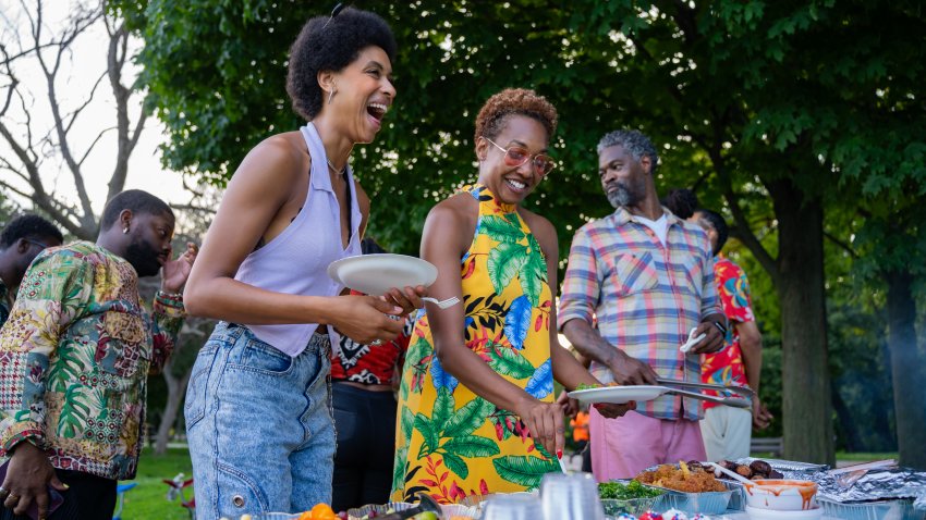 Black Friends and Family Gathering in Park