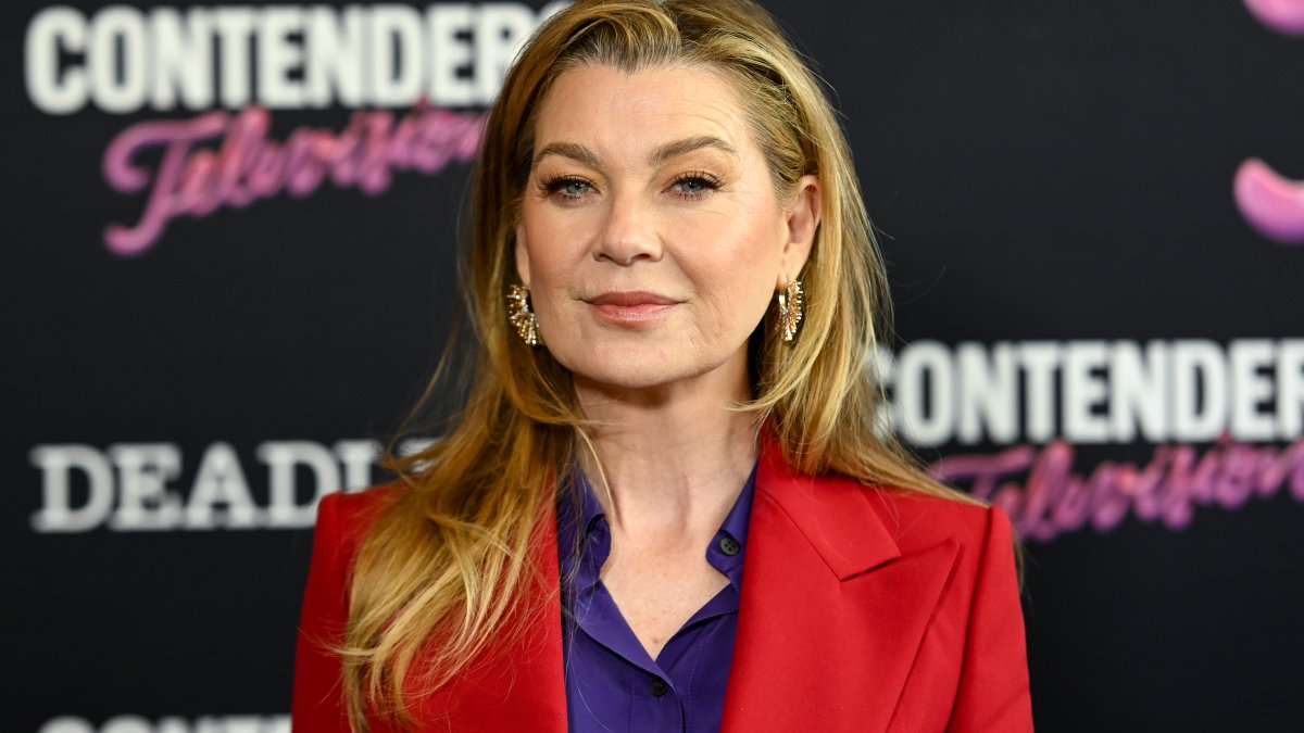 Ellen Pompeo Detained by TSA, Bomb Squad for Sunflower Seeds Delay
