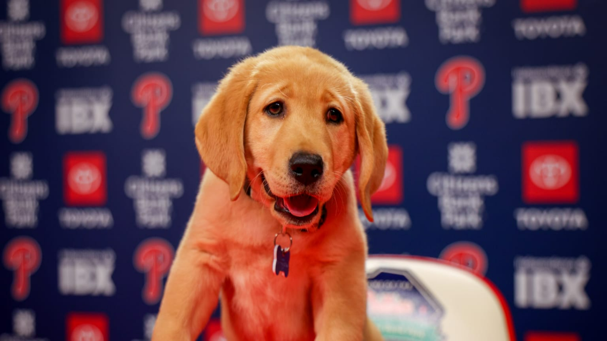 Phillies Introduce Tugger as New Service Pup