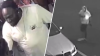 Caught on Cam: Police seek gunman in Hunting Park shooting that left man injured