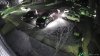 Another dozen cars broken into in South Jersey leaves neighbors frustrated