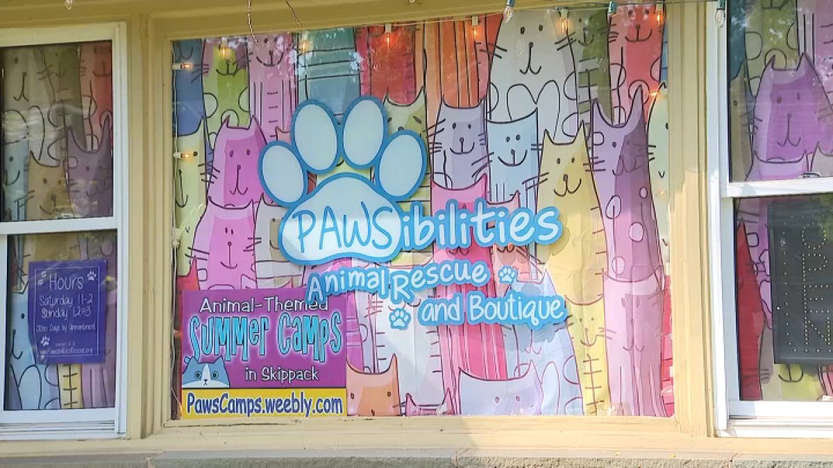 Pawsibilities Fundraiser After Fire | NBC10 Philadelphia