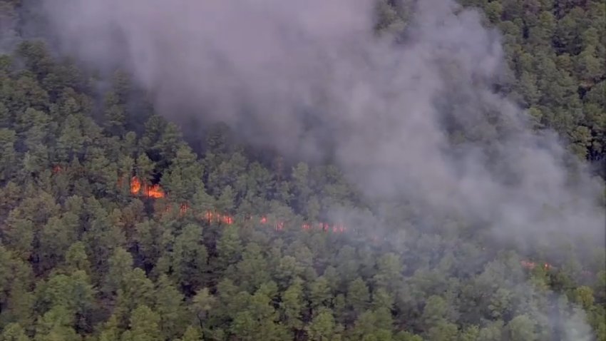 wharton forest fire