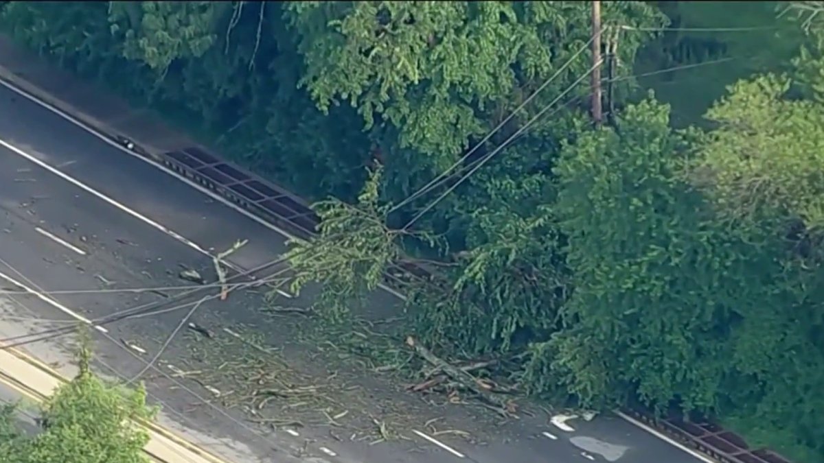 Woman killed after tree falls on SUV in Delaware – NBC10 Philadelphia