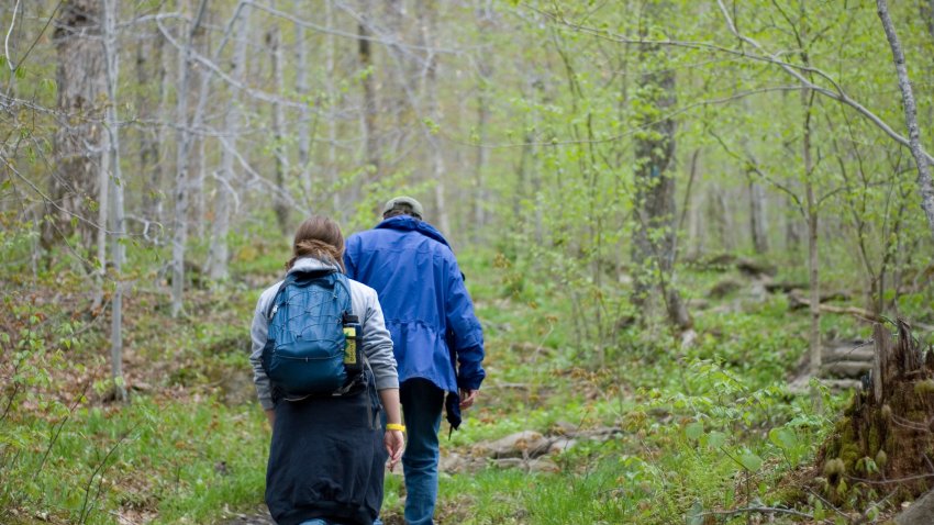 Two people hiking