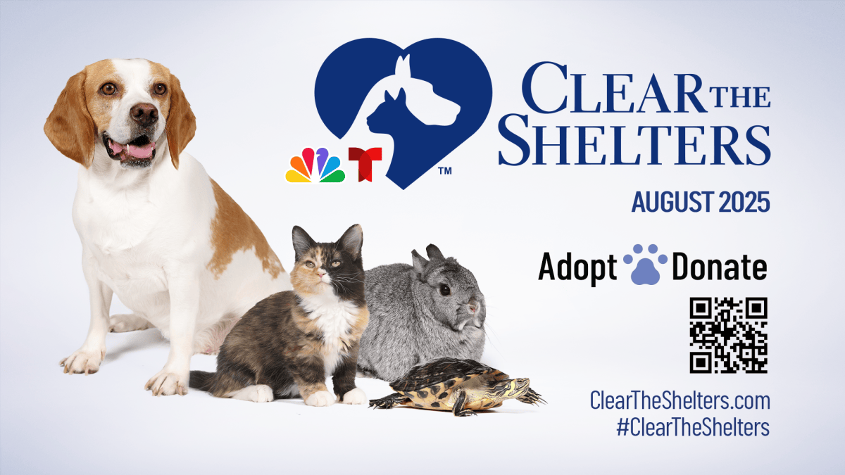 How to donate to the Clear The Shelters pet adoption campaign – NBC10 ...