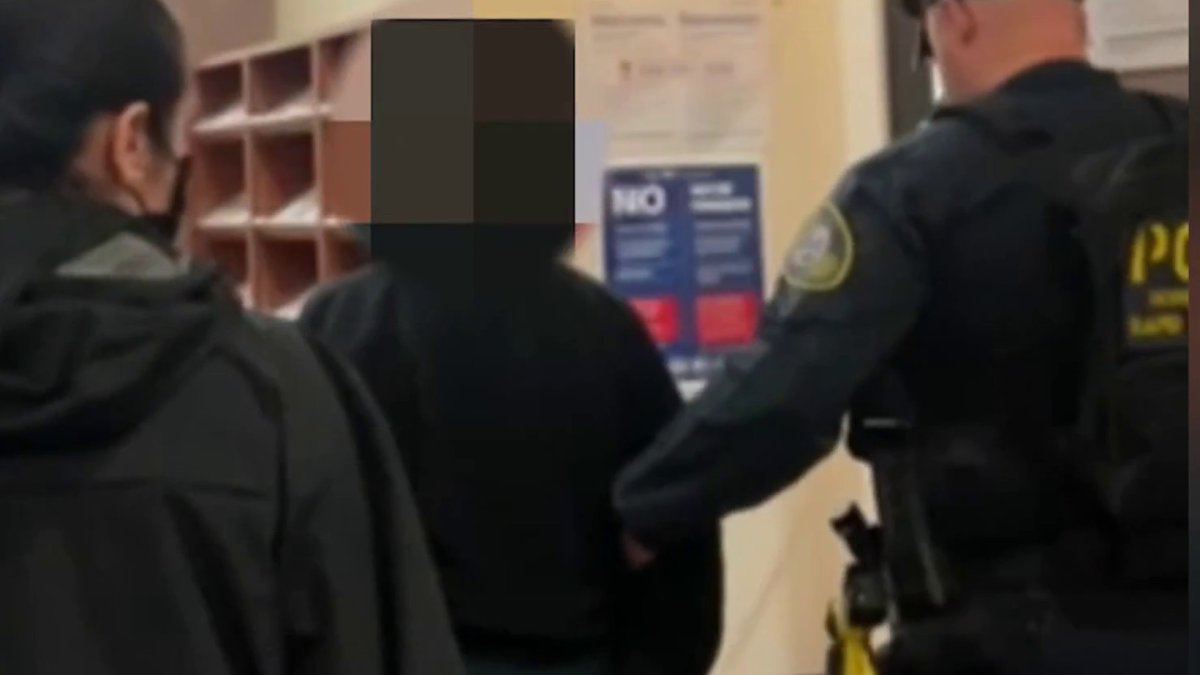 ICE Detains 71-Year-Old US Citizen Legal Observer in San Diego Court