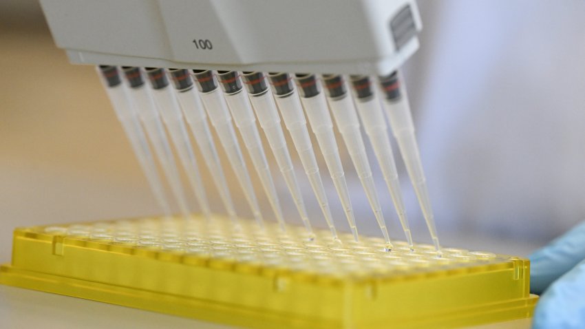 An employee pipettes in a laboratory of the biopharmaceutical company Curevac