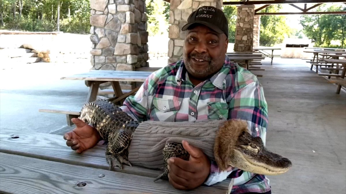 Pennsylvania Walmart Bans Emotional Support Alligator Over Safety Concerns