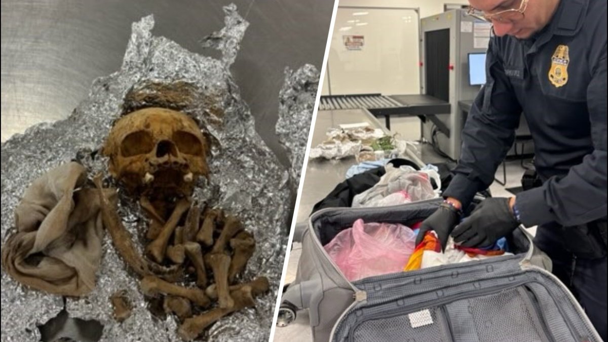 Tampa Airport Finds Alleged Human Remains in Passenger Luggage