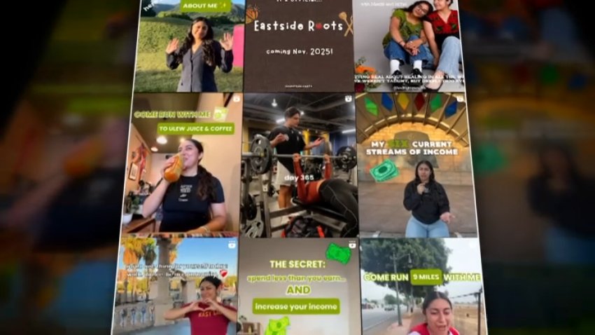 A screenshot of Metzli Garcia's Instagram page.