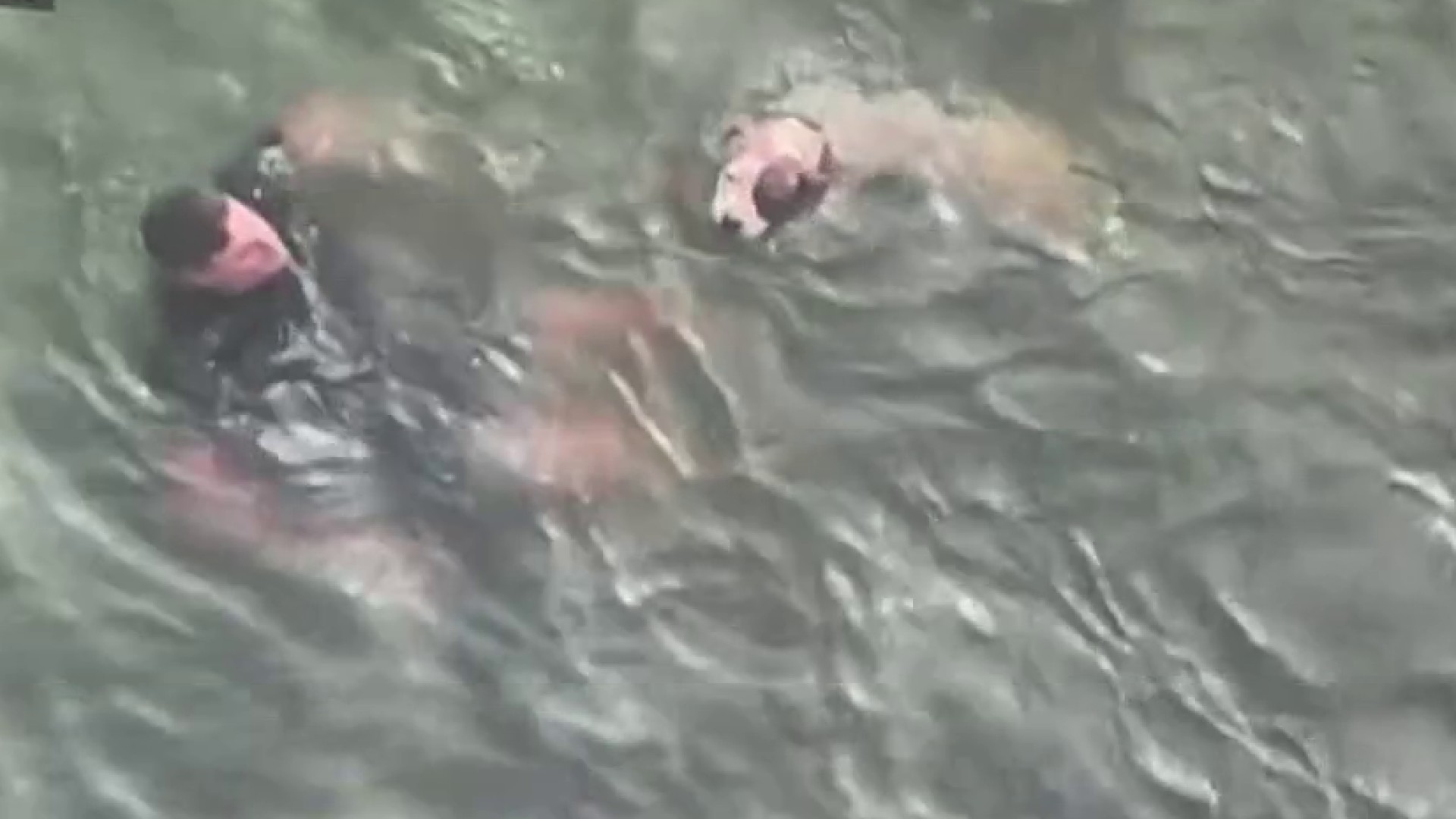 From repairing a broken android to magic crime investigation and dark fairy  tale yuri: 5 Japanese indie visual novel games - AUTOMATON WEST, image size:1920x1080