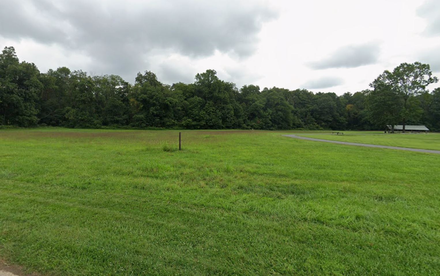 Woman struck, killed by tree at Hibernia County Park in Chester County, Pa.