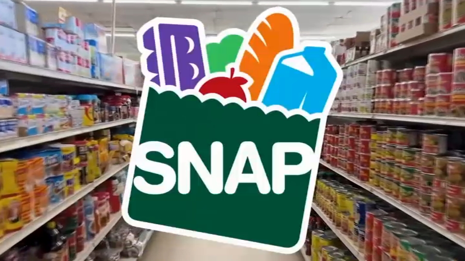 Judges order Trump administration to use contingency funds for SNAP payments