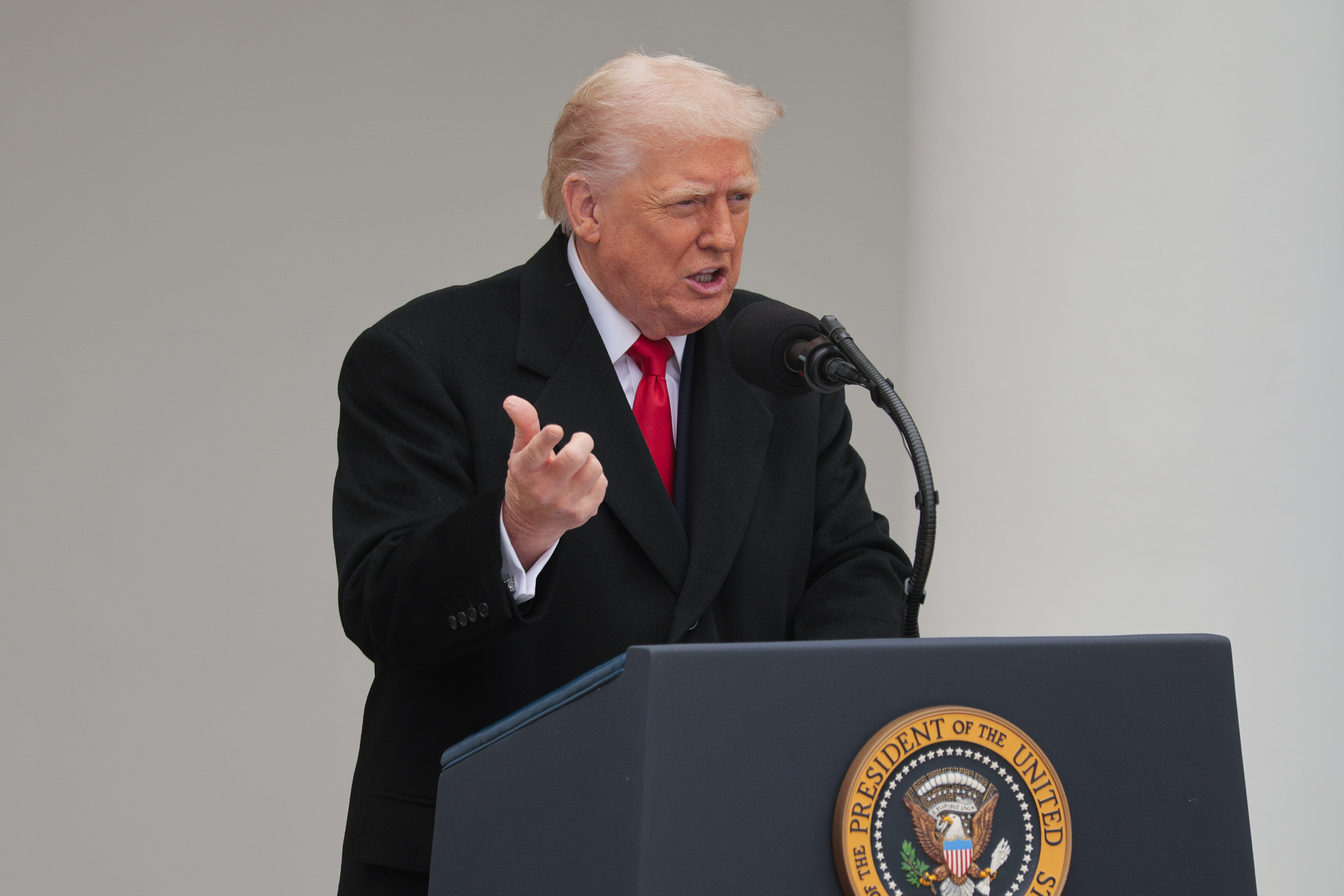 President Donald Trump delivers remarks during the 78th annual National Thanksgiving Turkey Presentation in the Rose Garden of the White House
