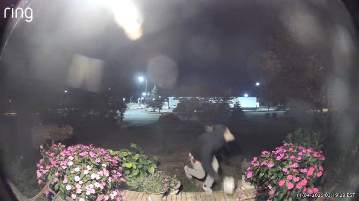 Caught on camera: Berlin Township porch pirate appears to use a shopping cart