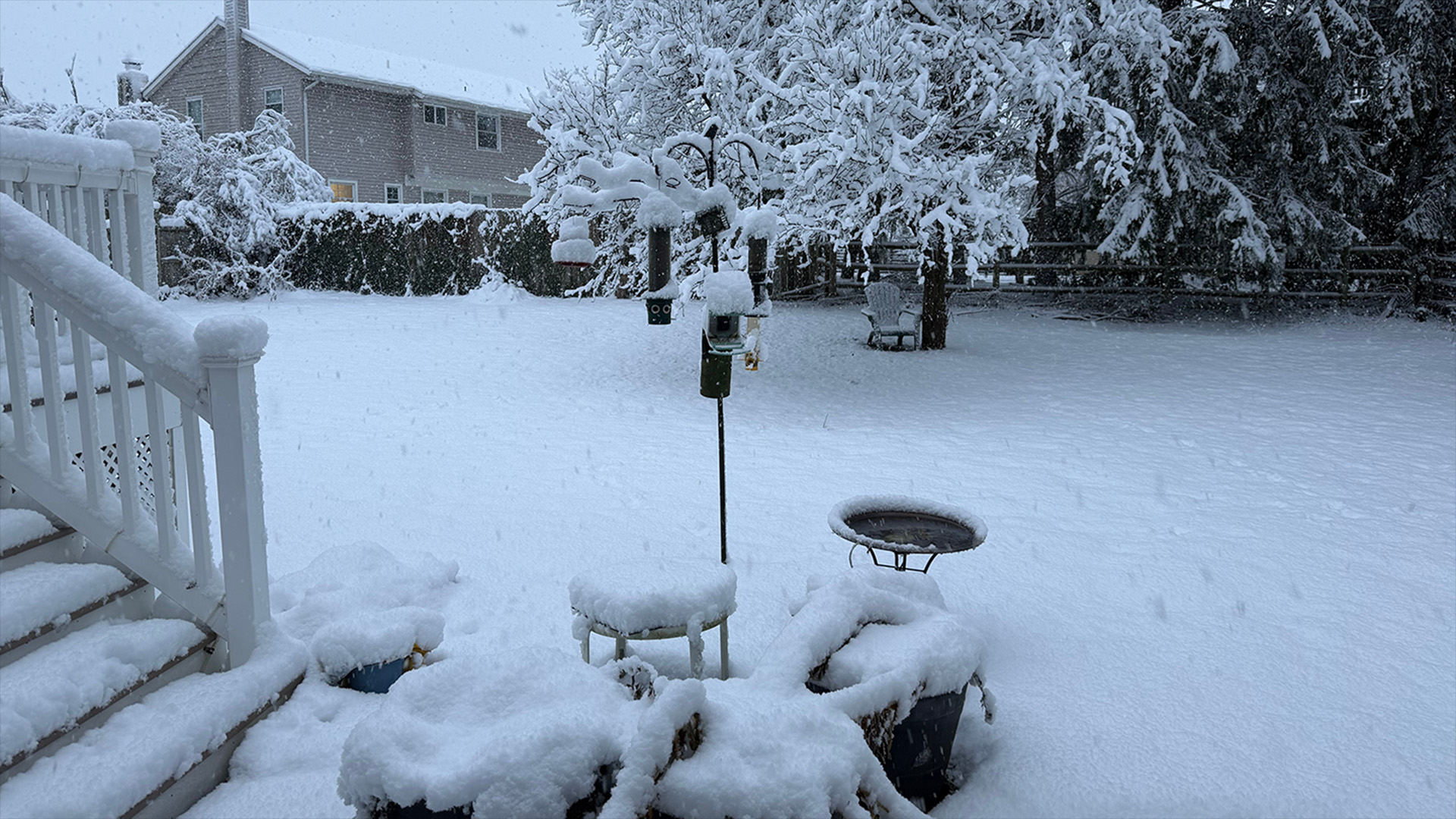 Snow on birdfeeders in the backyard.