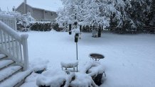 Snow on birdfeeders in the backyard.