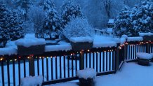 Waking up to snow and deer in Garnet Valley, Pennsylvania.