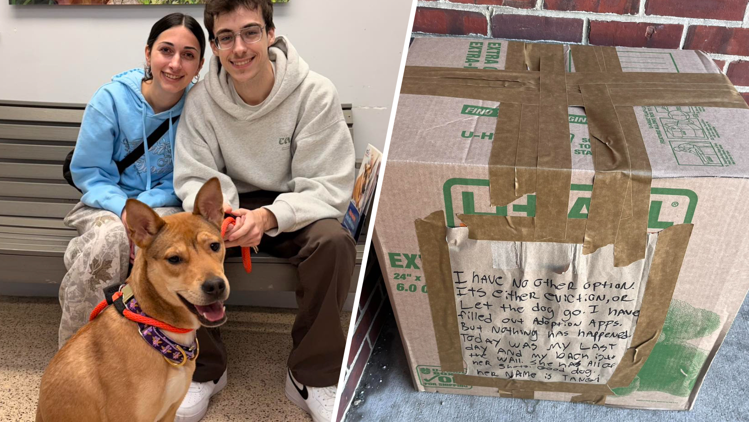 Dog found abandoned in sealed box outside Pennsylvania SPCA finds new home