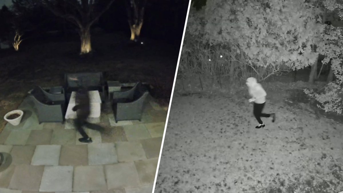 Several cars broken into along same block in Newtown Square, police say