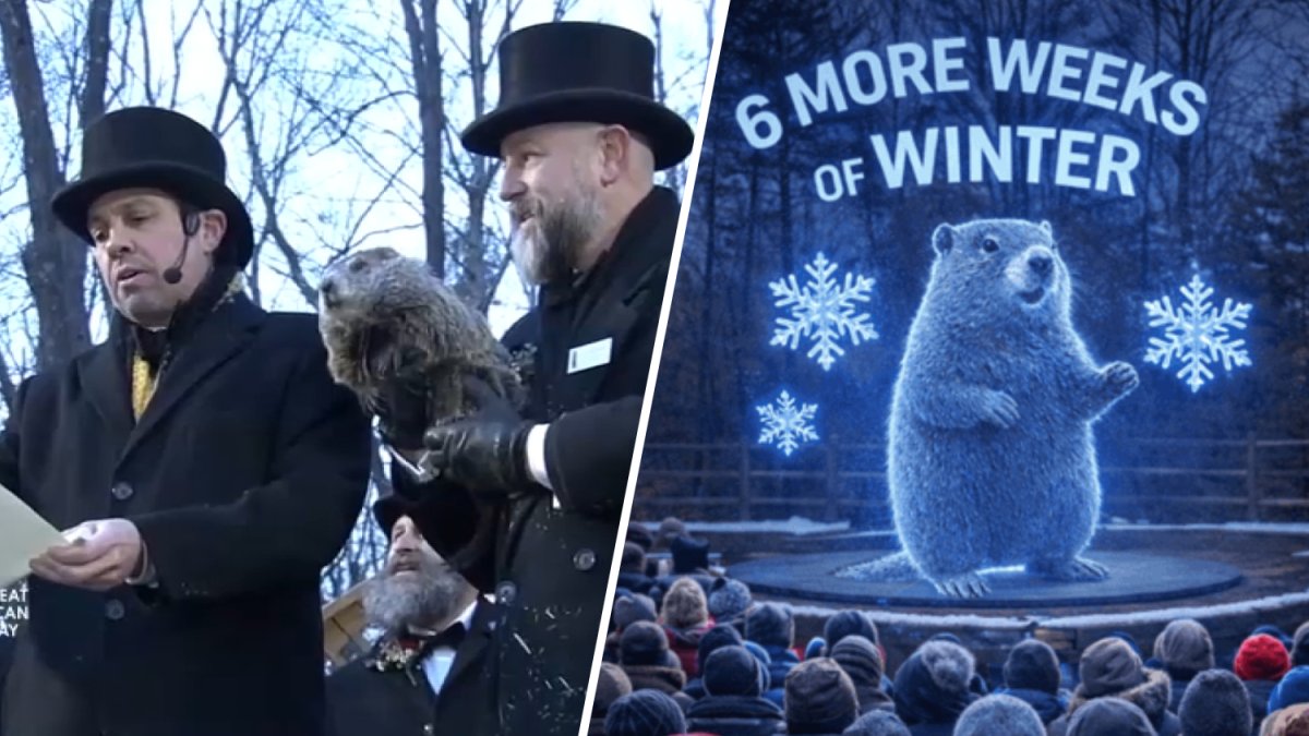 PETA thinks Punxsutawney Phil should be replaced by a hologram