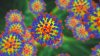 Possible measles exposure reported at the NICU at CHOP, officials say