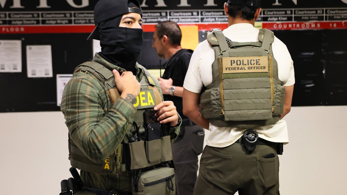 Judge bans most arrests by federal agents in immigration courts in New York