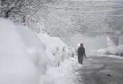 PHILADELPHIA, PENNSYLVANIA - FEBRUARY 23: Residents in Philadelphia dig out their cars as heavy snow continues to fall on February 23, 2026 in Philadelphia, Pennsylvania. A Nor'Easter brought over a foot of snow to some areas along the east coast impacting travel throughout the region, with snow continuing until the afternoon. (Matthew Hatcher/Getty Images)