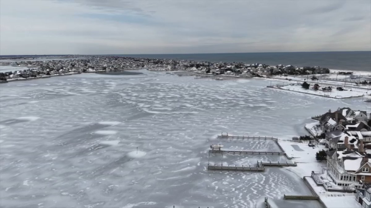 Damage and animal deaths at the shore after long stretch of brutal cold