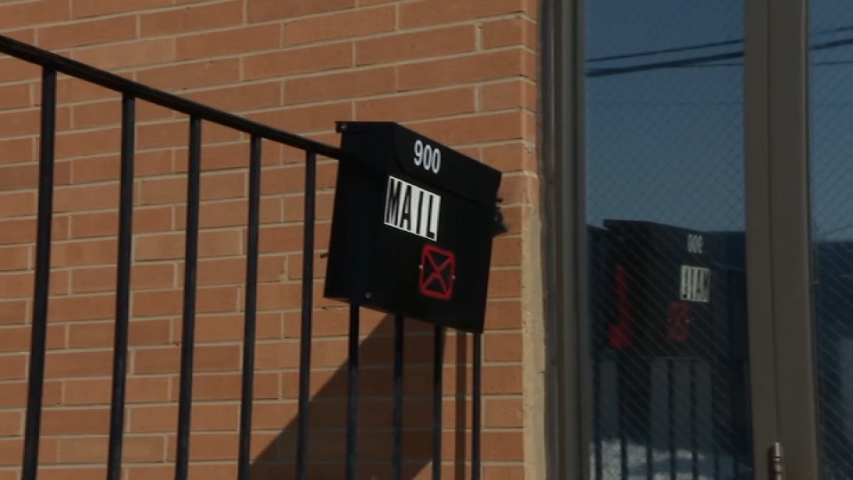 Local business stopped receiving mail with no explanation. NBC10 investigated why