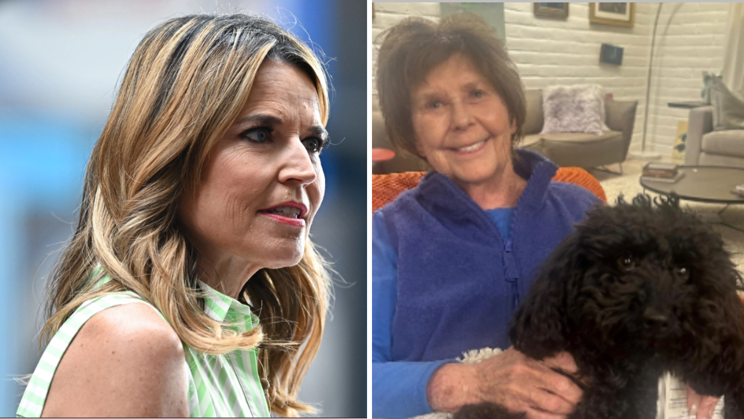 Savannah Guthrie's mother taken from her home against her will, sheriff says