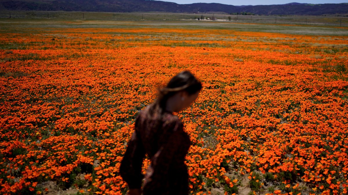 Welcome to allergy season. Here's how to protect yourself